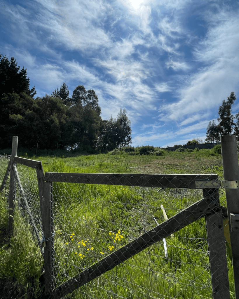Terreno Lomas San Sebastián