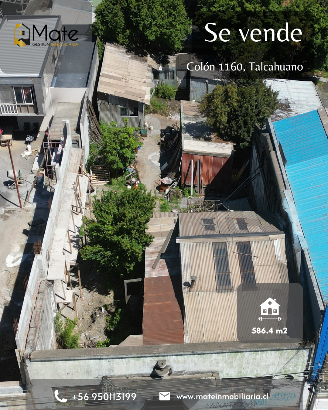 Talcahuano, Colón Eliana