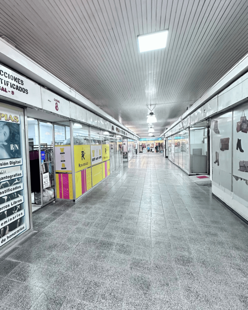 Local Comercial Colo Colo 486